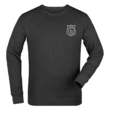 Vereinskollektion Sweater Grau